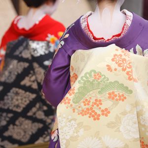 理想的なうなじの形